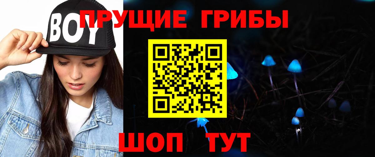 Галлюциногенные грибы MAGIC MUSHROOMS  Вход с VPN  Отрадный 